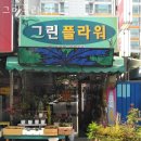 그린플라워 이미지