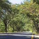 빛고을카 이미지