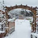 하나메디팜 이미지