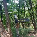 돌산보리밥 - 거제시 | 등산 추천, 광명 구름산 아니고 돌산 전망대 후기.. 초보는 웁니다