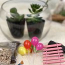 부일초등학교병설유치원 이미지