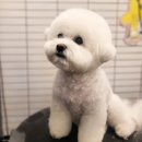 양지미용실 이미지