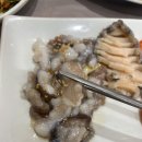 다리와다리사이횟집 | [부산 맛집] 영도다리횟집 / 부산 자갈치시장 맛집 여름제철 하모회 맛집 추천(feat.내돈내산 솔직후기)