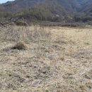 동량면사무소 이미지