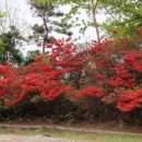 해오름길 이미지