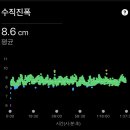 2025 YMCA 마라톤 하프 후기(PB맛집이지만 사장님이 불친절해요)