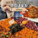 삼학도 | 목포 연희네포차 육꼬비 낙지호롱구이, 삼학도 항구포차 애견동반 후기