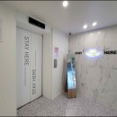 스테이히얼 이미지