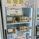 알줍 이미지