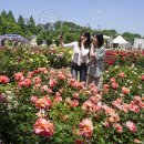 삼성물산(주)에버랜드리조트