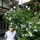 무궁화여관 이미지