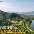 카페덕대리중암7길 | 수박빵 이순철 대표 아라깨비 베이커리 식물원 카페, 어부와 며느리 메기불고기,구순의 구자운 의사...