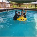 안면도 카사블랑카 이미지