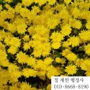 열정 공인행정사사무소 이미지