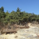 기내미재 이미지