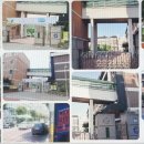 서울신자초등학교 이미지