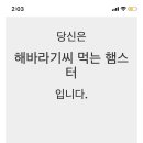 소소한어느날
