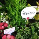 영주시장애인종합복지관1 네이버블로그