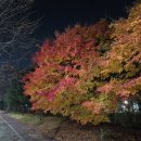 제4산단로L | [오창2산단 투썸] 투썸처돌이가 밤산책하다 들른 투썸플레이스 청주오창2산단점 / 오창 투썸