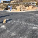 이삭토스트 제천청전점 | 제천 단양 1박2일 여행일기 여행코스 추천