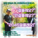 핫이슈) 헤어디자이너가 발 건강 전문가가 된 이유? 이미지