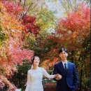 행복한수 이미지