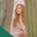 Stay here 이미지