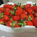 시온축산유통