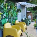 견불동정원 이미지