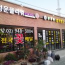 범퍼뱅크 & 플라워 이미지