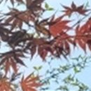 와인치과의원 이미지