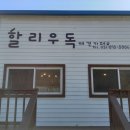 할리우독 이미지