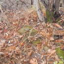 도개한정식 이미지