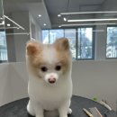 물개스테이 이미지