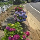 산양보건지소 이미지