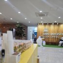 겐트 | 인천 송도 겐트대학교 다과 & 음료 케이터링 후기