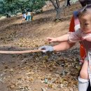 완수농장 이미지