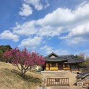 낙산사담장 | 낙산사 [양양 가볼만한곳]