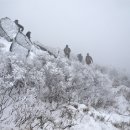 함백산(1,573m) 눈꽃산행 ~ 강원 정선, 영월(상동), 태백 이미지