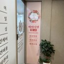 케이디펫 이미지