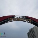 구기자 약초시장 이미지