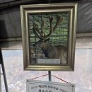 정남농장 이미지