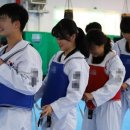 연은태권도 이미지