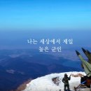 삼삼데이 이미지