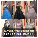 모두플러스토탈인테리어 | 강남 라피쥬플러스샵 ㅣ 가성비 웨딩 유색 드레스 7벌 피팅 및 대여 찐후기 !