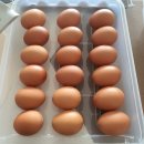 안일농장 이미지