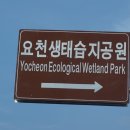 힐링쎈터 이미지
