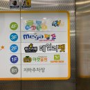 데일리펫 위드독스 이미지