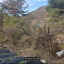 포항시남구65 이미지