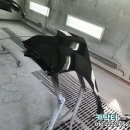 신세계종합정비 이미지